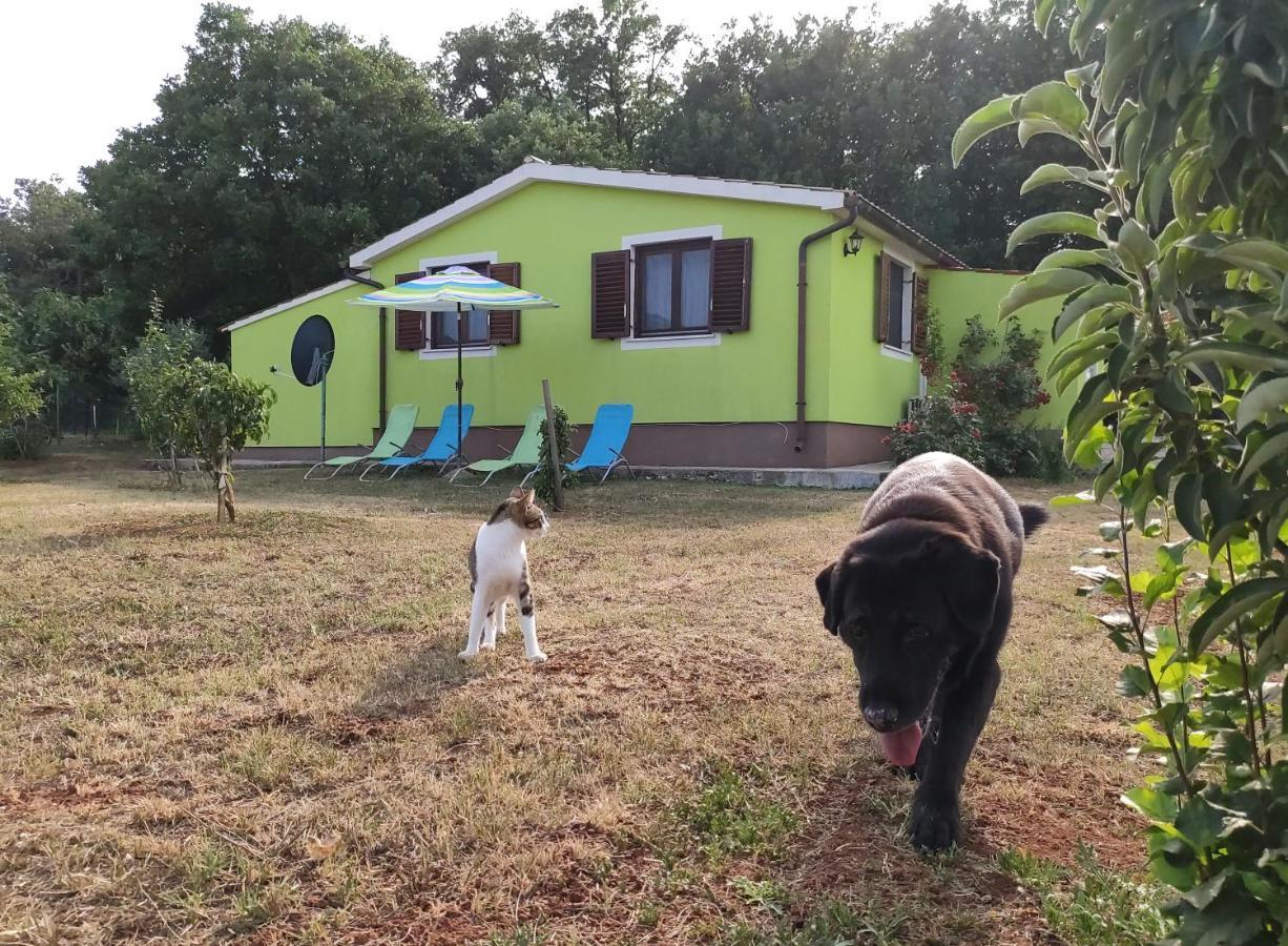 Kuca Za Odmor Tri Sunca Vila PUY Exterior foto