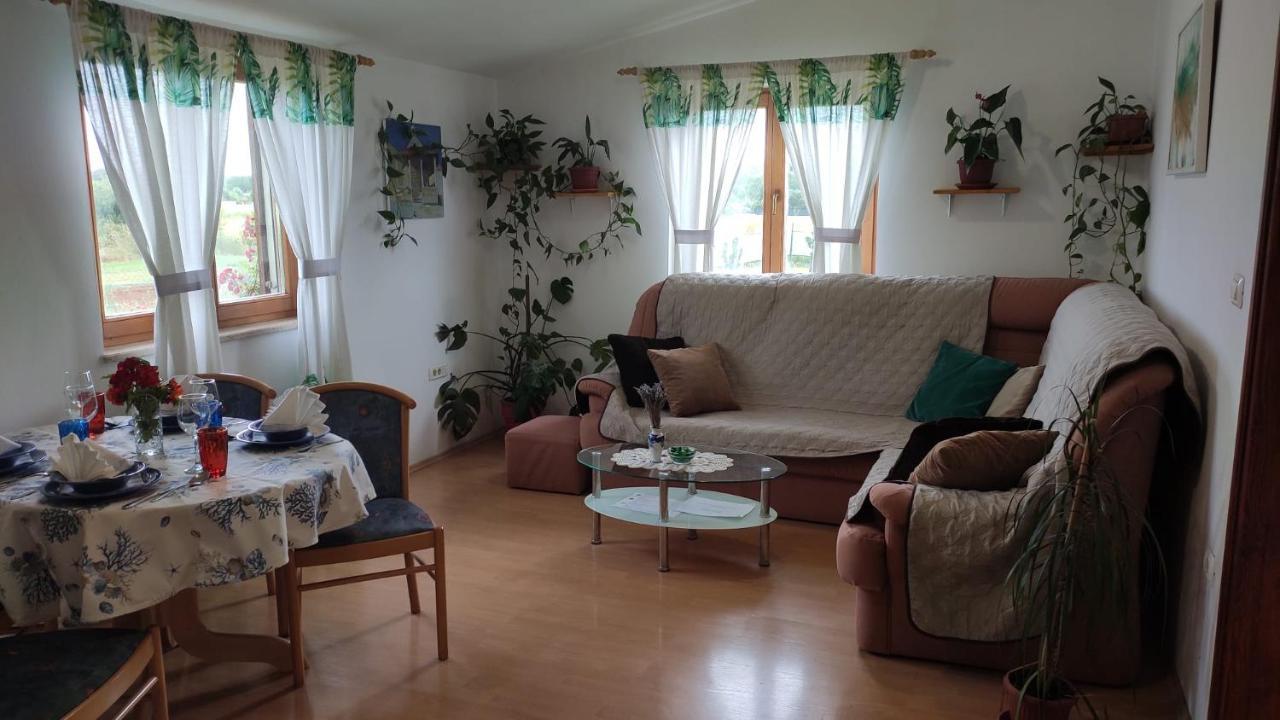 Kuca Za Odmor Tri Sunca Vila PUY Exterior foto